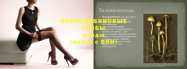 эйфоретик Алексин