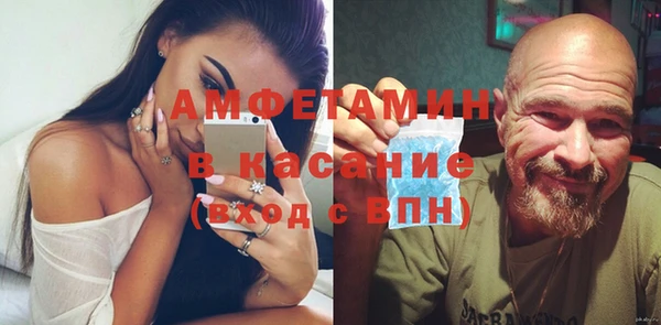 гидра Михайловка