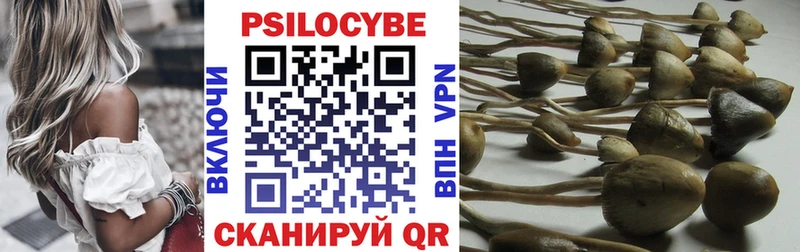 Галлюциногенные грибы мухоморы  гидра онион  Чусовой 