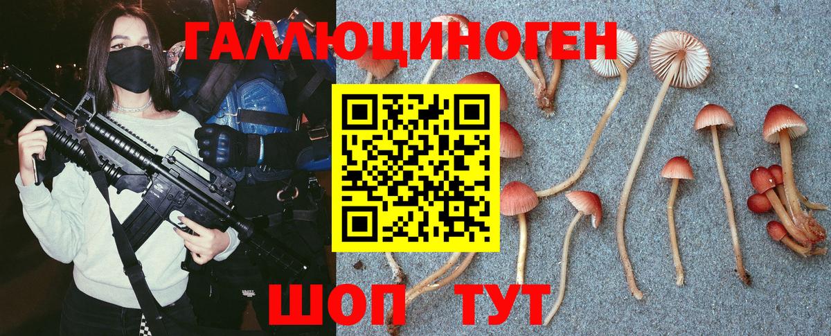 Галлюциногенные грибы Cubensis Чусовой