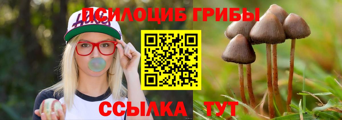 Псилоцибиновые грибы мицелий  где можно купить наркотик  Чусовой  Вход с VPN  Галлюциногенные грибы ЛСД 